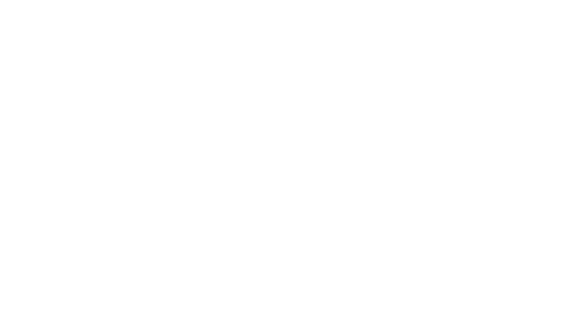Genio Diligence