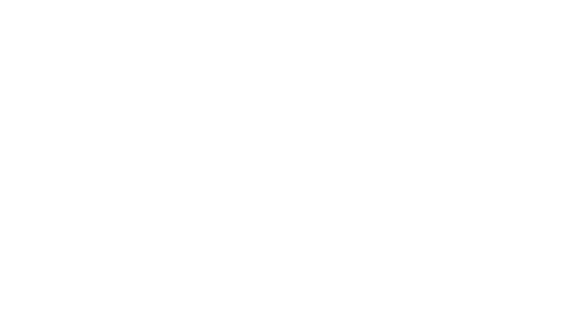 Hyntelo srl