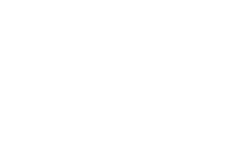 VLM